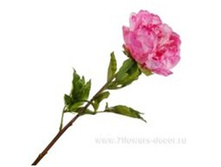 4606500502578 ������ ������������� ���� ������, (������ ��������) 76�� 96 565,8.jpg