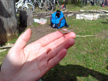 IMG 20160507 145825.jpg