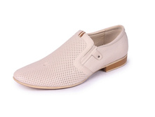 51-ZO-03 B �����������, �������, ���.����, ��������, ���.jpg