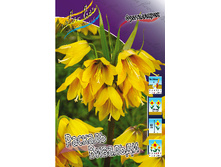 181,45���. ����������� ������� ��������(�������� ���� �� 2 ��., ����������� ����� 1��.)���15.jpg