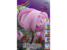 141,95���. ����� �������(�������� ���� �� 2 ��., ����������� ����� 1��.).jpg