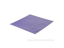 4606500466252 ����� ����.������ �����, 70cm�100c� (10��) 999 119,00.jpg