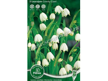 ����������� �������� ������.jpg