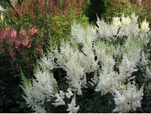 �������� ������� ����� 90��� ���� 2.jpg