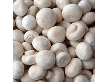 ������������ ����������