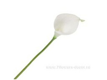 4606500609505 ������ ������������� ����� ����� , 32 �� 1 343,85.jpg