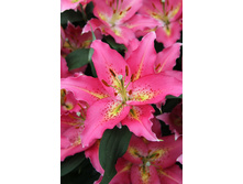 31,06���. ����� �������(��� 5 ��. ���������� ������ 2 ��� 3 ��.)���16.jpg