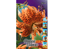 47,78���. ����� ����� �����(�������� ���� �� 5 ��., ����������� ����� 1��.).jpg