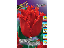 25,05���. ������� ������� �������(��� 10 ��. ���������� ������ 5��.).jpg