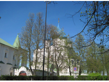 IMG 7988.JPG