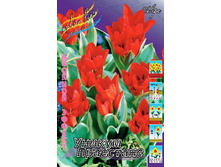 16,62���. ������� ������ ���������(��� 10 ��. ���������� ������ 5��.).jpg