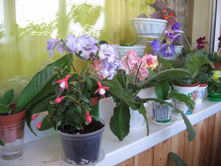 ������ �������� 03.05.16�.