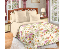 ������� ��������.jpg