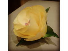 IMG 20160619 235052.jpg