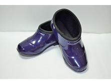 ������ ���