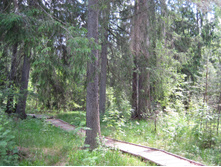 IMG 2847.JPG