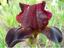 ���� ���������� ��������.140