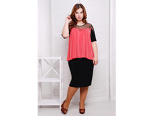 ������ CI ������