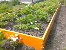 �������������� ����