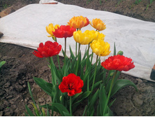 �������� ������ ��������� � �������