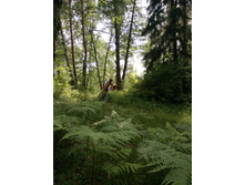 ��������  (74).JPG