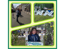 Phototastic-12 06 2016 504e8298-b6c0-4837-b89a-b9ccd13443b5.jpg