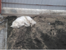 IMG 20160516 125846.jpg