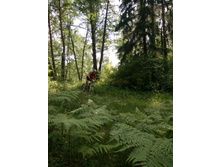 ��������  (75).JPG