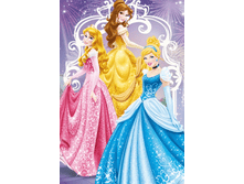 508920/4 ��������� ����. ������ 50*90 "��������� �� ����"