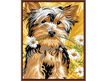 GL5240 ���� 520 ���.jpg