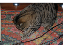 � ����� ��������1.JPG