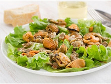 ���� ����� ���������