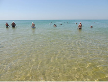 ���� ���� � ����