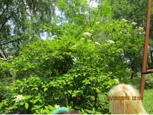 IMG 3280.JPG