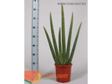 ���������� �������� (90) 3 995.00