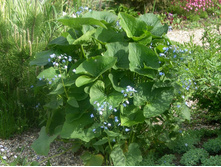 �������� ���������. 70