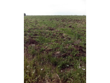 IMG 20160616 170620.jpg