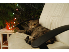 ��2014� (14).JPG