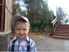 � ������� ��������