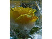 1335687814-913123-82291351 large 3166706 663025.jpg