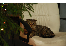 ��2014� (13).JPG