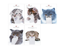 ������� 48�. �5 ������ ��������� 17,62.jpg