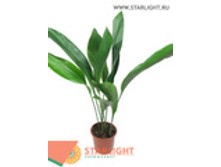 ���������� ������� (50) 995.00