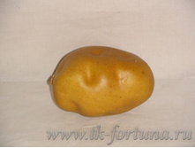 20-750 ����� "��������� ������" 9 ��., ������� 35.40