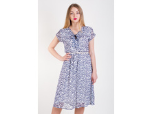 ������ 12116