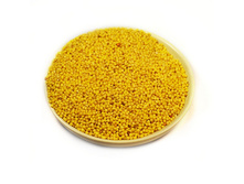 ����� ���, 500 �� ������