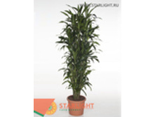 ������� ������ ����� (190) 17 500.00