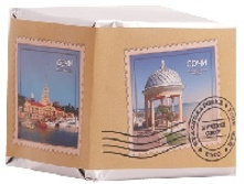 ��� ��������������� 100� 1*48