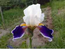 ���� �� ��� (�ϣ ����)