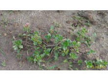 P 20160623 192517 1 p.jpg